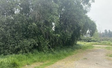CAMINO CARAMPAGUE 1601