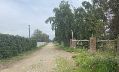 CAMINO CARAMPAGUE 1601