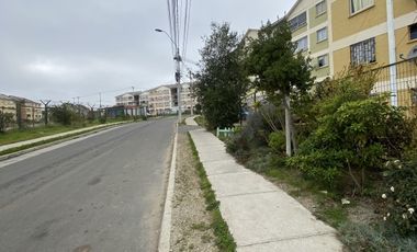 CAPELLÁN MANUEL VARGAS SALDIAS