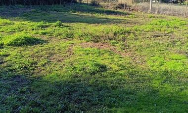 SE VENDE PARCELA 5000M2 MELIPILLA, CAMINO RAPEL