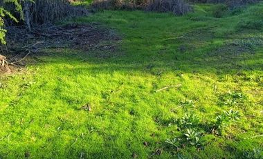 SE VENDE PARCELA 5000M2 MELIPILLA, CAMINO RAPEL