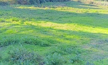 SE VENDE PARCELA 5000M2 MELIPILLA, CAMINO RAPEL