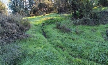 SE VENDE PARCELA 5000M2 MELIPILLA, CAMINO RAPEL