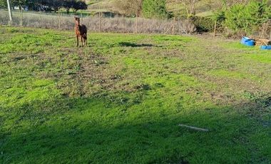 SE VENDE PARCELA 5000M2 MELIPILLA, CAMINO RAPEL