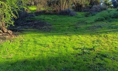 SE VENDE PARCELA 5000M2 MELIPILLA, CAMINO RAPEL