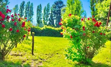 CUNIBAL ORIENTE/LOS ANGELES