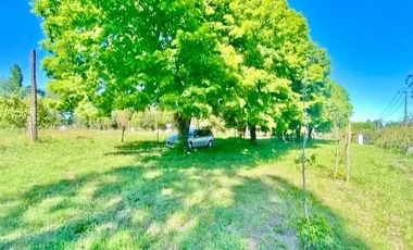 CUNIBAL ORIENTE/LOS ANGELES