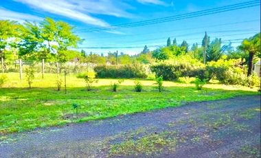 CUNIBAL ORIENTE/LOS ANGELES