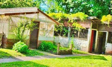 CUNIBAL ORIENTE/LOS ANGELES