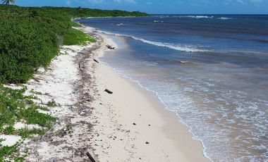 Terreno en Mahahual Beach Front