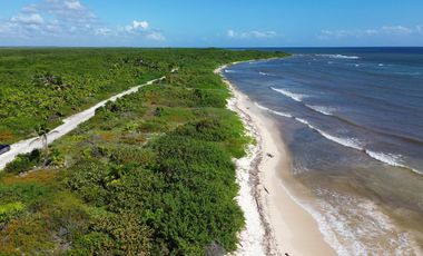 Terreno en Mahahual Beach Front