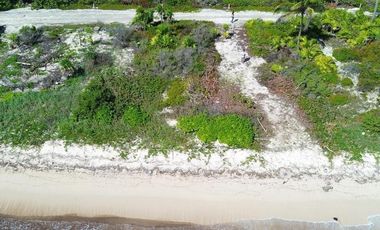 Terreno en Mahahual Beach Front
