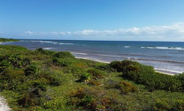 Terreno en Mahahual Beach Front