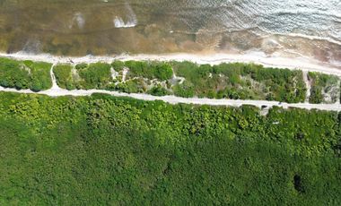 Terreno en Mahahual Beach Front