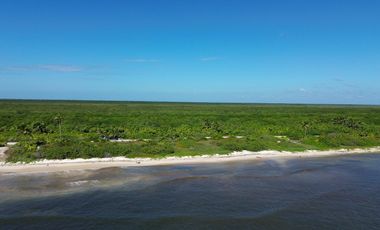 Terreno en Mahahual Beach Front