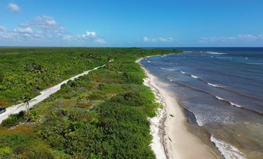 Terreno en Mahahual Beach Front