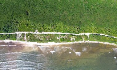 Terreno en Mahahual Beach Front
