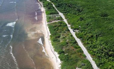 Terreno en Mahahual Beach Front