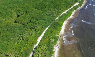 Terreno en Mahahual Beach Front