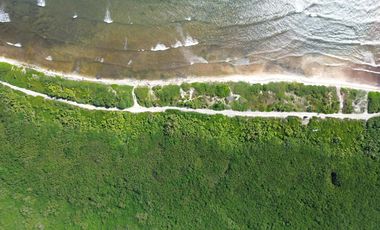 Terreno en Mahahual Beach Front