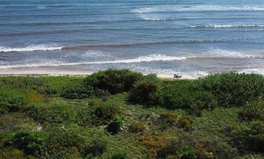 Terreno en Mahahual Beach Front