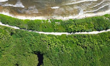 Terreno en Mahahual Beach Front