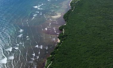 Terreno en Mahahual Beach Front