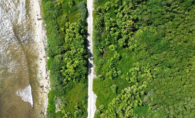 Terreno en Mahahual Beach Front