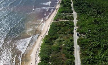 Terreno en Mahahual Beach Front