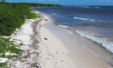 Terreno en Mahahual Beach Front