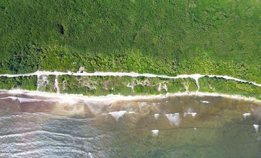 Terreno en Mahahual Beach Front