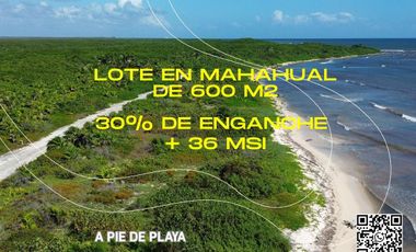 Terreno en Mahahual Beach Front