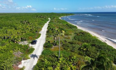 Terreno en Mahahual Beach Front