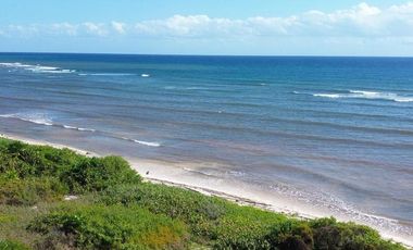 Terreno en Mahahual Beach Front