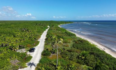 Terreno en Mahahual Beach Front