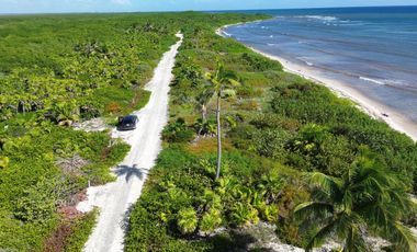 Terreno en Mahahual Beach Front