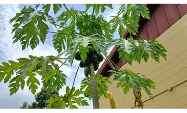 Casa en Venta en Howard antes de Panama Pacifico