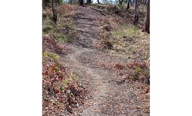 Venta de terreno en El Higo de San Carlos GTA