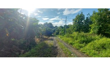 VENDO FINCA EN LAS HUACAS VERAGUAS