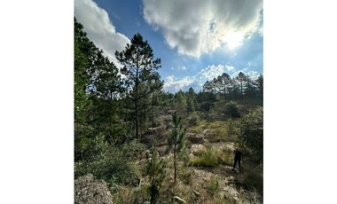 Lotes en San Clemente