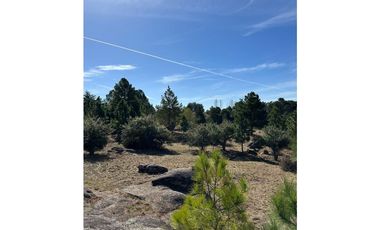 Lotes en San Clemente