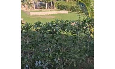 Venta de Lote en San Bernardo del Viento Córdoba