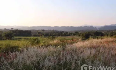 Land for sale in Pa Sang, Chiang Rai