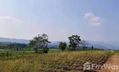 Land for sale in Pa Sang, Chiang Rai