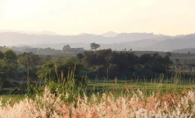 Land for sale in Pa Sang, Chiang Rai