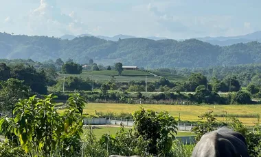 Land for sale in Pa Sang, Chiang Rai