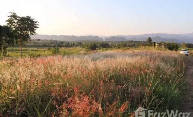 Land for sale in Pa Sang, Chiang Rai