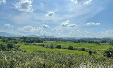 Land for sale in Pa Sang, Chiang Rai