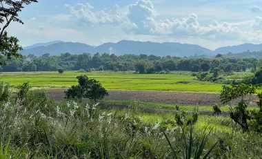 Land for sale in Pa Sang, Chiang Rai