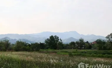 Land for sale in Pa Sang, Chiang Rai
